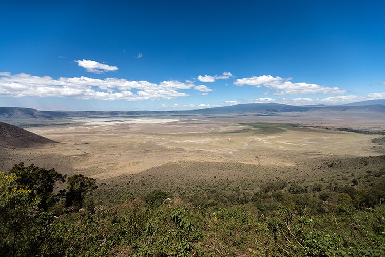 TZA ARU Ngorongoro 2016DEC23 016